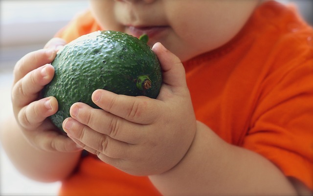 baby hapje avocado