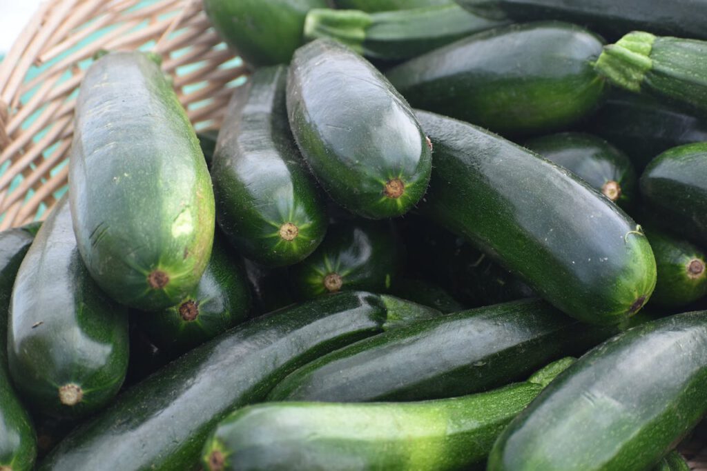 Zelf courgette verbouwen