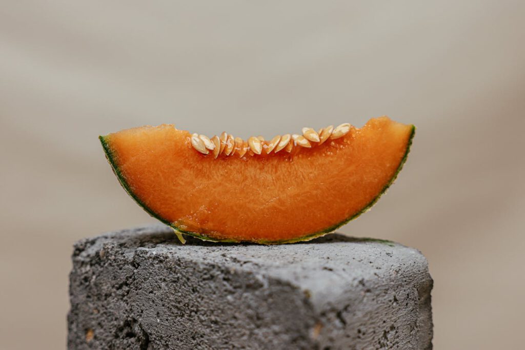canteloupe meloen verbouwen groeien zaaien