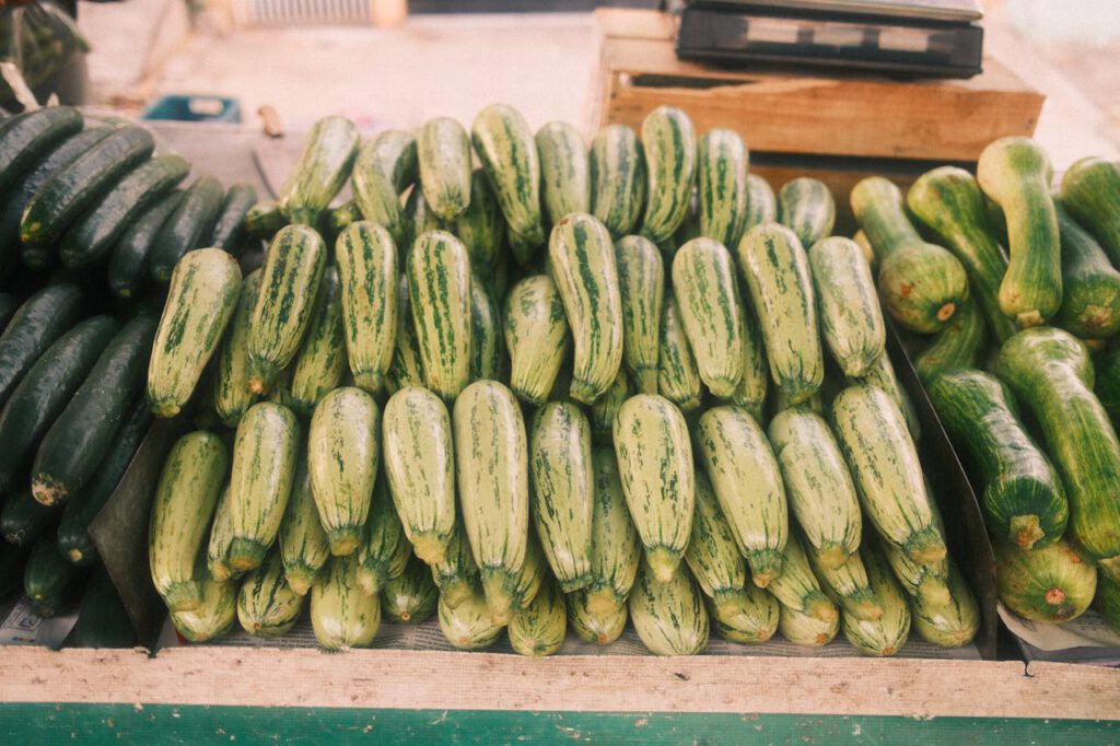 courgette kweken courgette verbouwen beginners