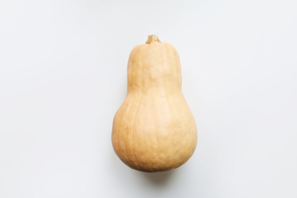 flespompoen pompoen kweken