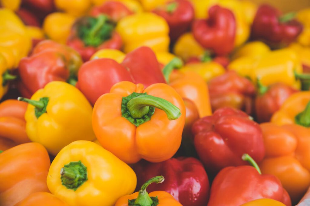 paprika zelf thuis kweken