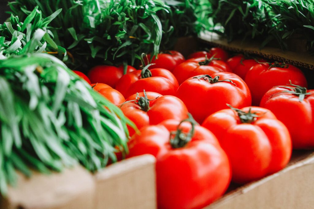 tomaten-verbouwen-gids-beginners