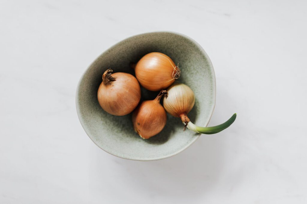 uien kweken moestuin